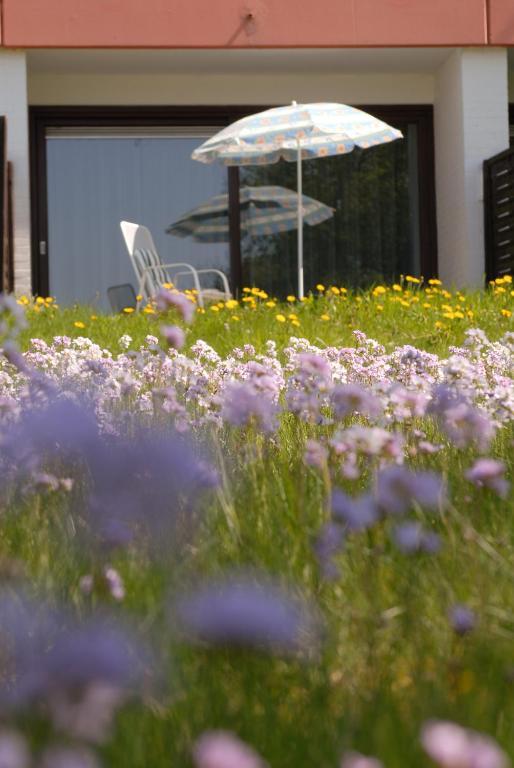 Ferienhaus Uklei Sielbeck 외부 사진